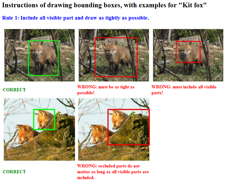 An example of a bounding box drawing task.